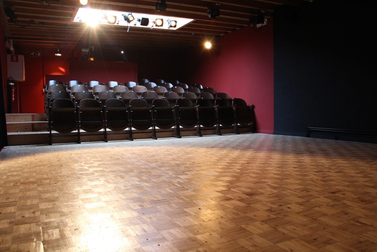 Theater Box theatre room in Ghent